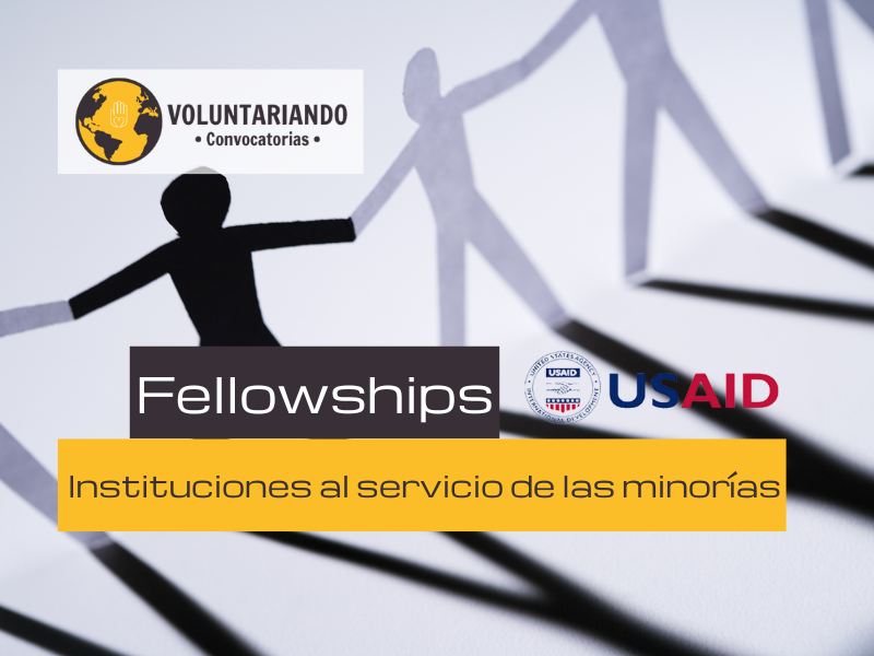 Fellowship Instituciones al servicio de las minorías