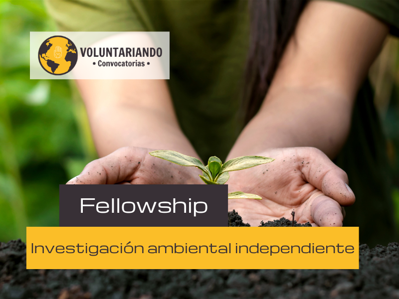 Fellowship investigación ambiental independiente